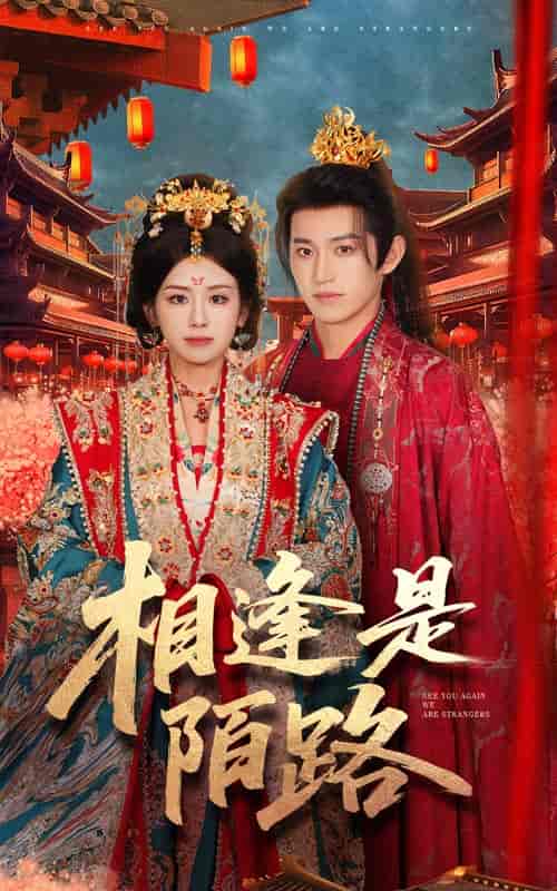 短剧《相逢是陌路》 免费观看高清短剧全集，完整版在线无限制