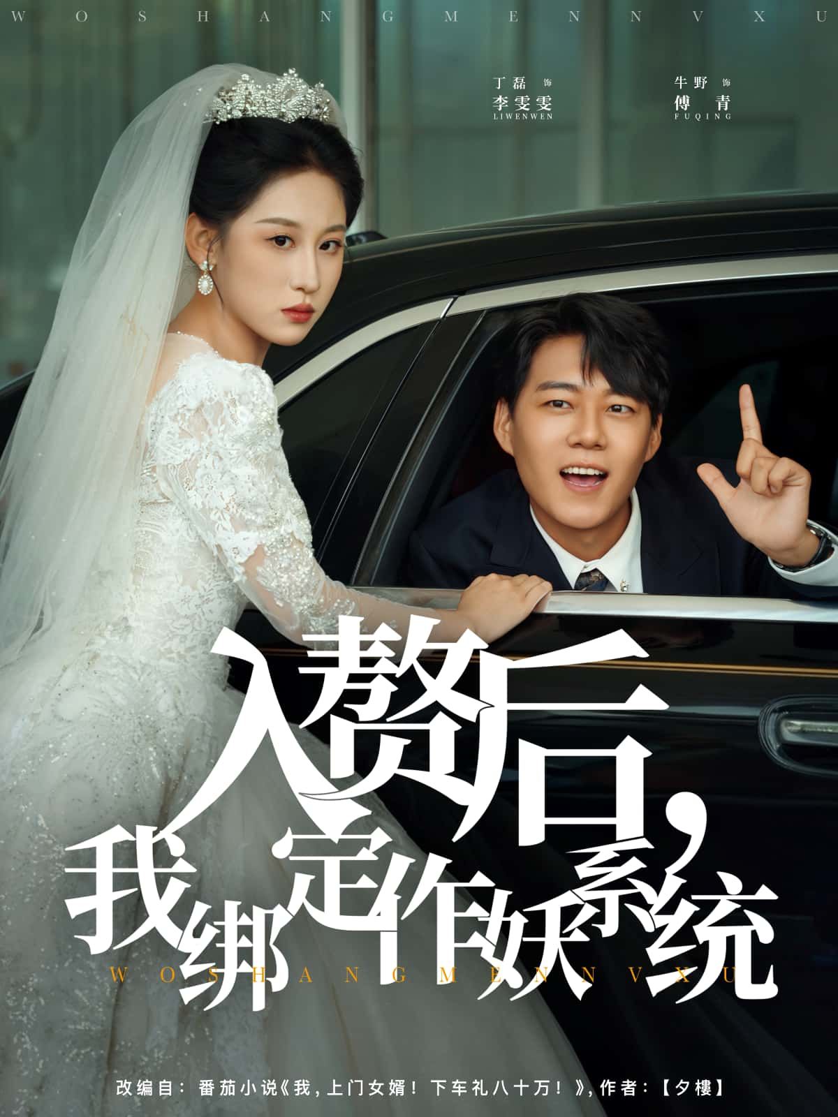 短剧 《入赘后，我绑定作妖系统》 HD 高清全集无删减版在线看