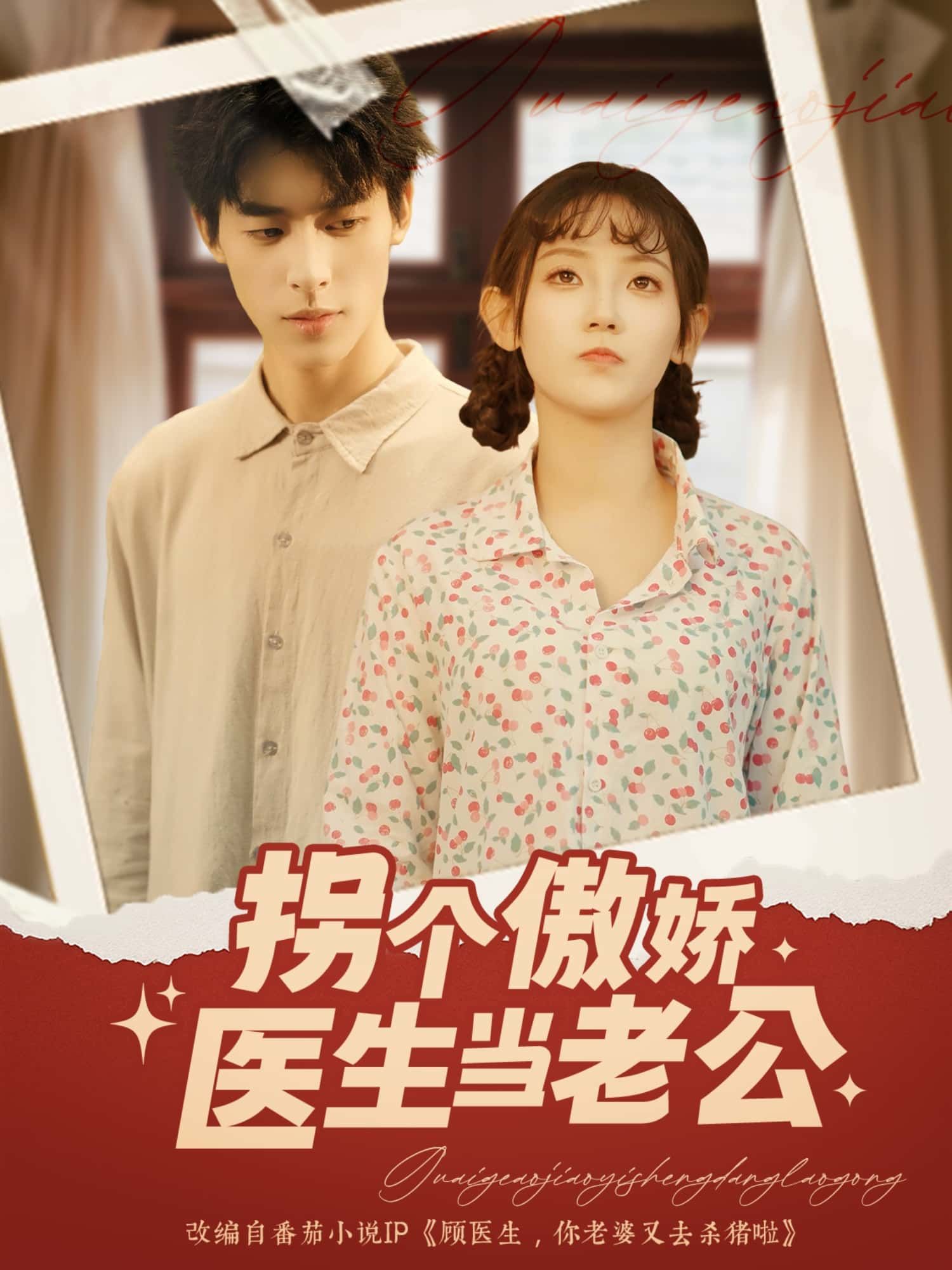 短剧 《拐个傲娇医生当老公》 HD 1080P 高清全集完整版在线观看