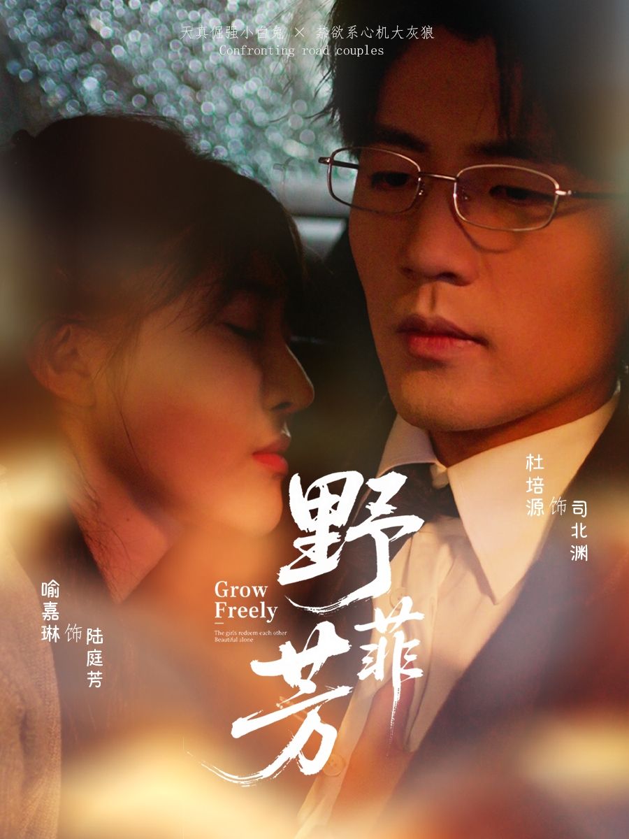短剧 《野芳菲》 HD 高清无删减全集在线播放 1080P 短剧 《野芳菲》 HD 高清无删减全集在线播放 1080P