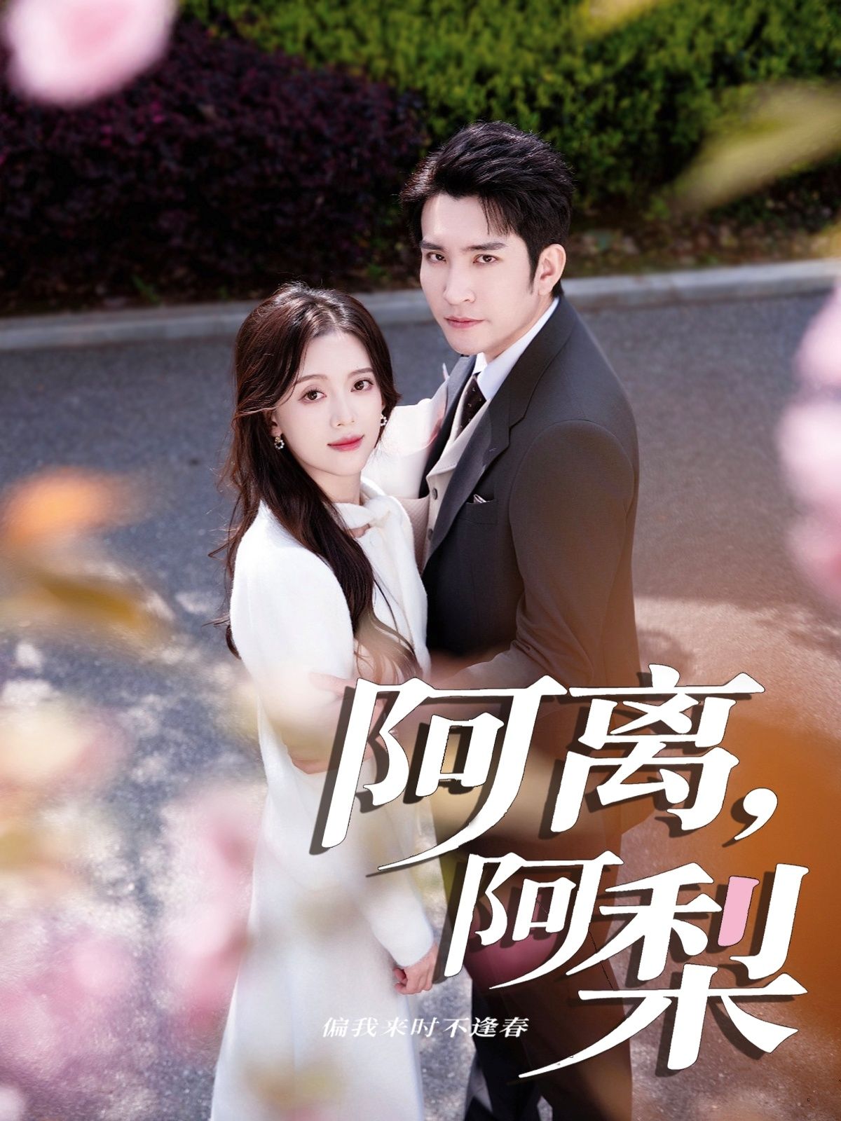 短剧 《阿离阿梨》 1080P 超高清全集完整版在线观看 短剧 《阿离阿梨》 1080P 超高清全集完整版在线观看
