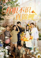 短剧有眼不识真锦鲤免费在线看，高清全集无删减版，即刻畅享！