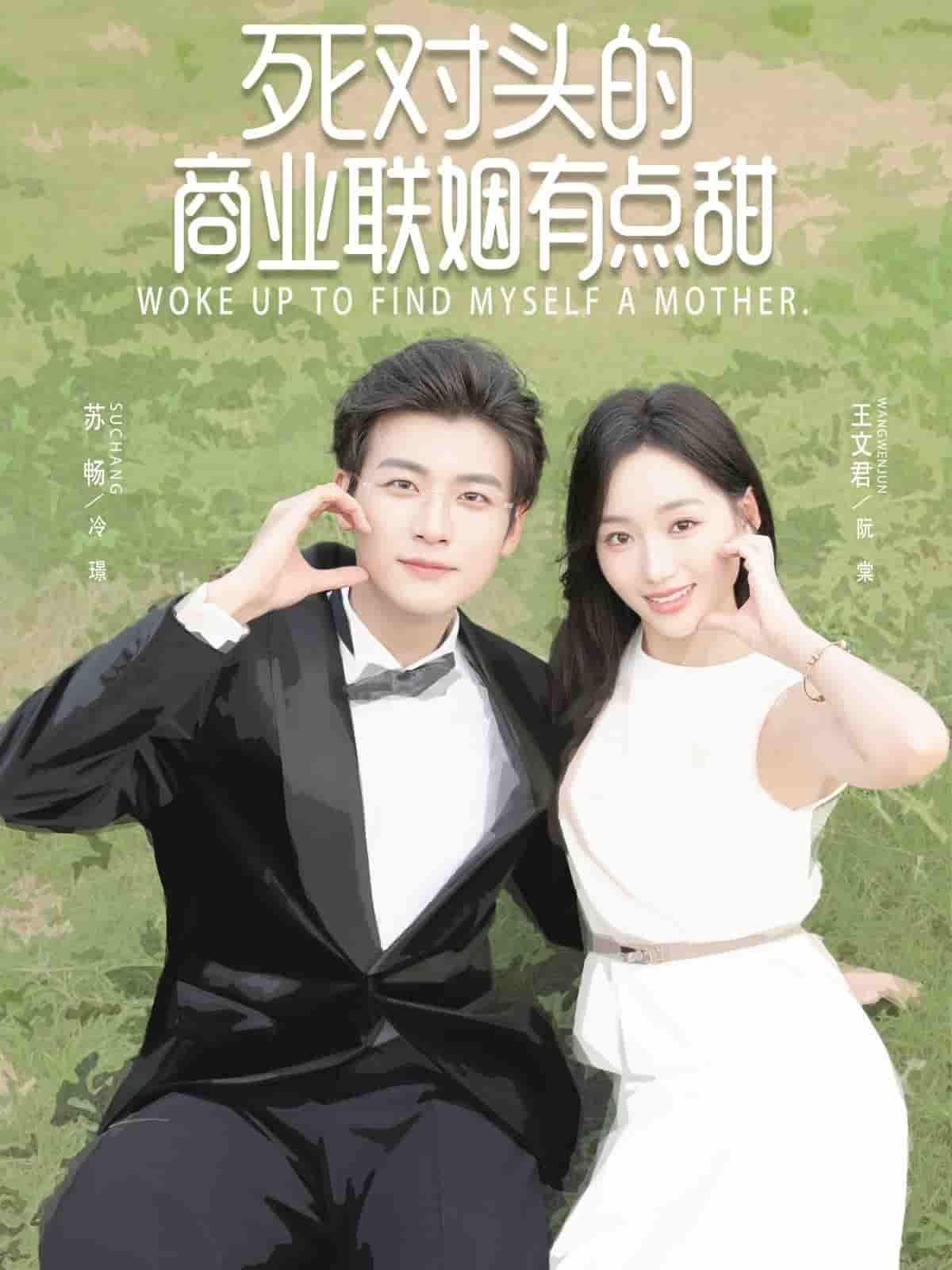 短剧 《死对头的商业联姻有点甜》 高清全集无删减版在线播放 短剧 《死对头的商业联姻有点甜》 高清全集无删减版在线播放