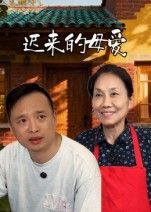 短剧 《迟来的母爱》 在线播放高清全集无删减版 HD