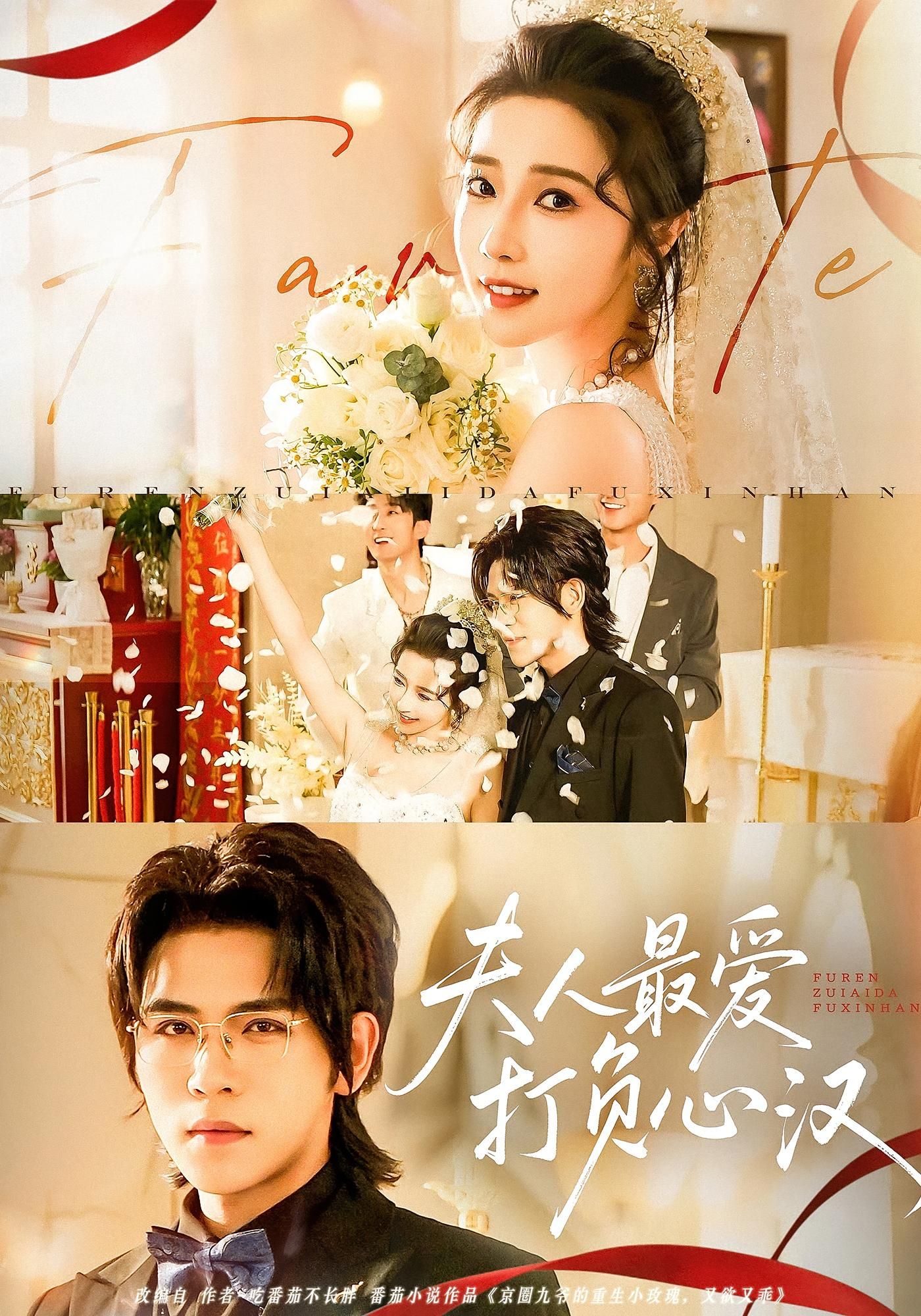 短剧 《夫人最爱打负心汉》 超高清完整全集在线观看