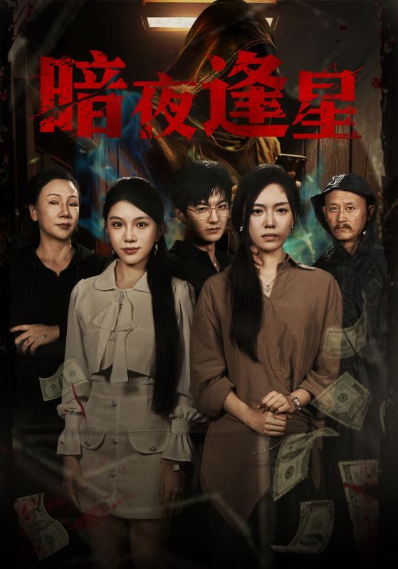 短剧 《暗夜逢星》 HD 超高清全集在线观看完整版 短剧 《暗夜逢星》 HD 超高清全集在线观看完整版
