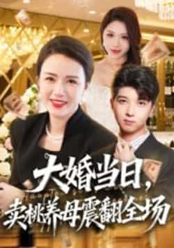 热门短剧《大婚当日，卖桃养母震翻全场》 全集完整版实时更新免费在线观看播放未删减版资源，短剧百度网盘夸克网盘免费资源分享下载