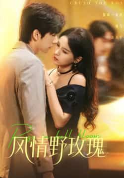 热门短剧《风情野玫瑰》 全集完整版免费无广告在线观看播放未删减版资源，短剧百度网盘夸克网盘免费资源分享下载