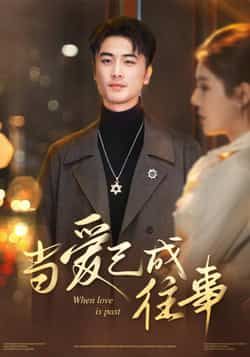 热门短剧《当爱已成往事》 全集完整版免费在线观看播放未删减版资源，短剧百度网盘夸克网盘免费资源秒存分享下载