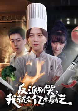 热门短剧《反派别哭，我就会亿点厨艺》 全集完整版更新完毕免费在线观看播放未删减版资源，短剧百度网盘夸克网盘免费资源分享下载
