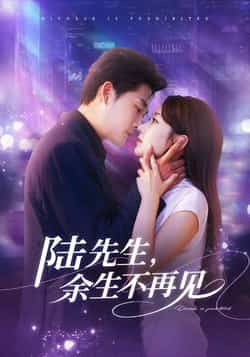 热门短剧《陆先生，余生不再见》 全集完整版高清免费在线观看播放未删减版资源，短剧百度网盘夸克网盘免费资源分享下载