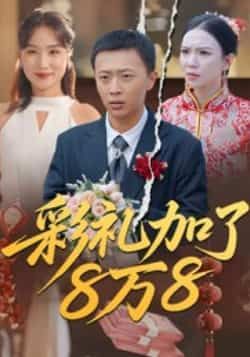 热门短剧《彩礼加了8万8》 全集完整版纯净免费在线观看播放未删减版资源，短剧百度网盘夸克网盘免费资源分享下载